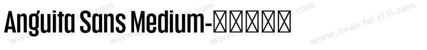 Anguita Sans Medium字体转换